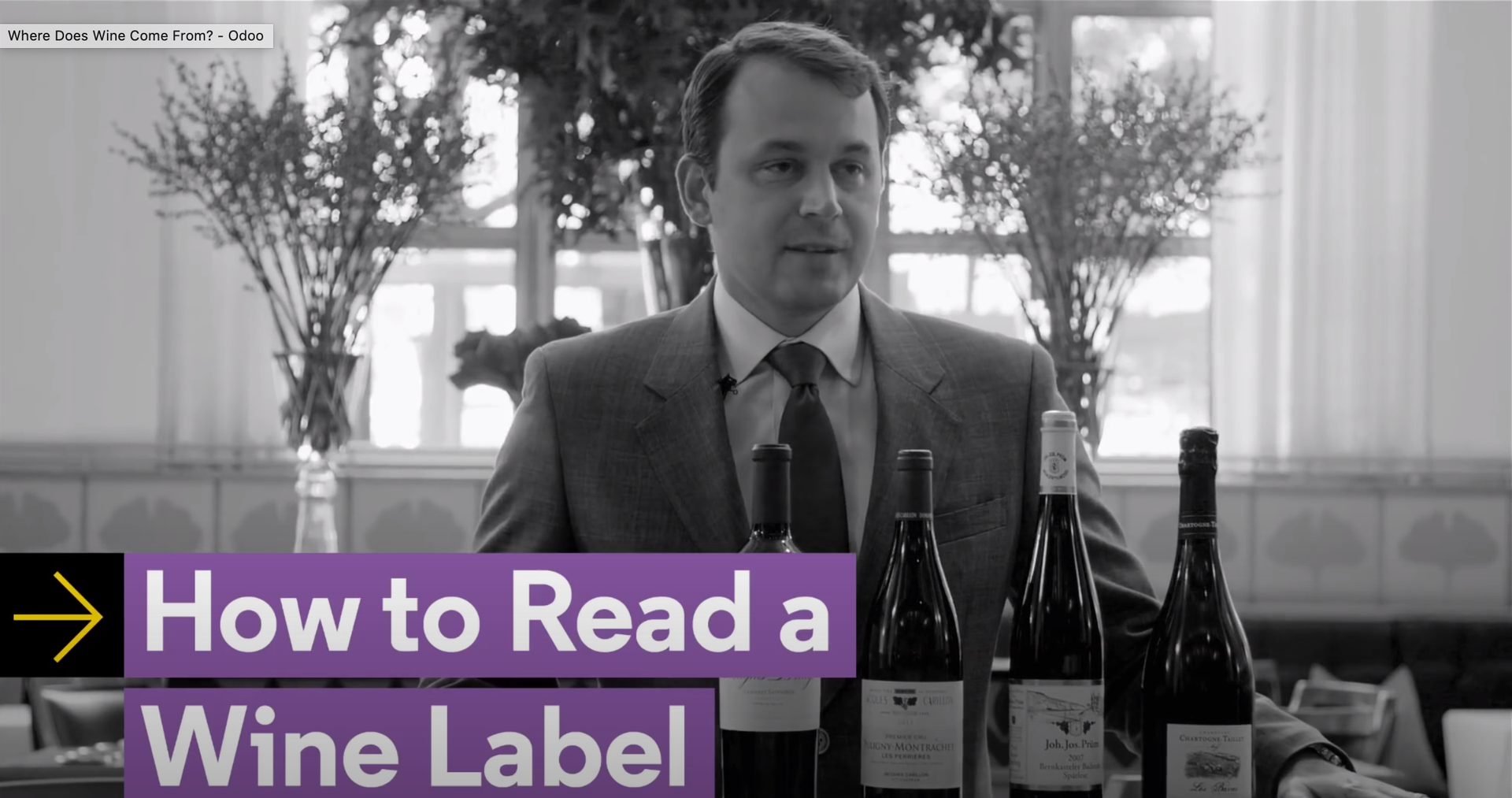 Learn How to Read a Wine Bottle From An Expert Sommelier