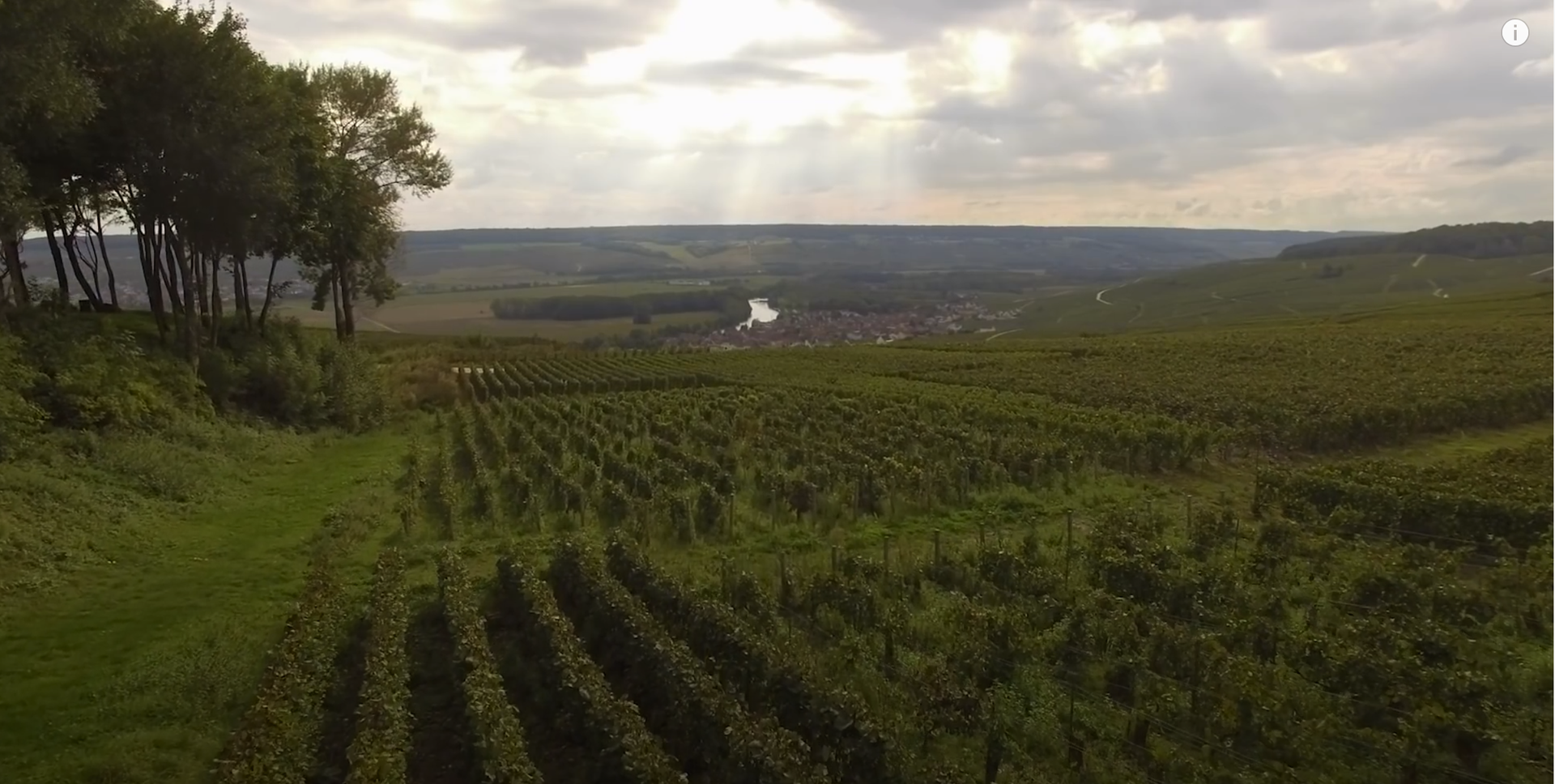 Where Does Champagne Come From? | A Brief History of Champagne