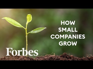 What Is Seed Investing And Why Is It Crucial For Growing Companies? | Defined | Forbes